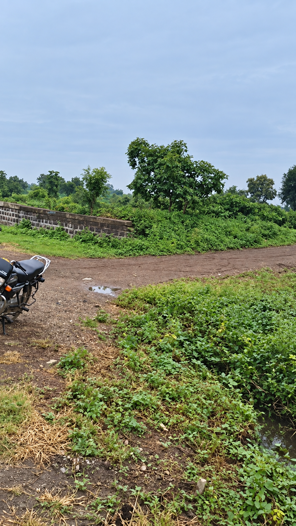 धानोरा येथे 4 एकर बागायत जमीन विक्रीसाठी फोटो